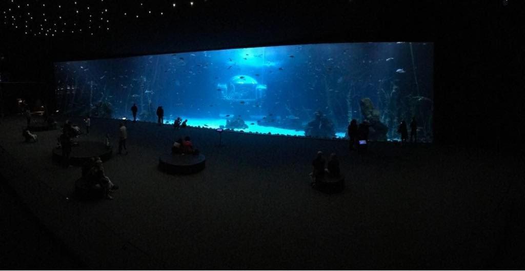 Appartement Canteras Aquarium *